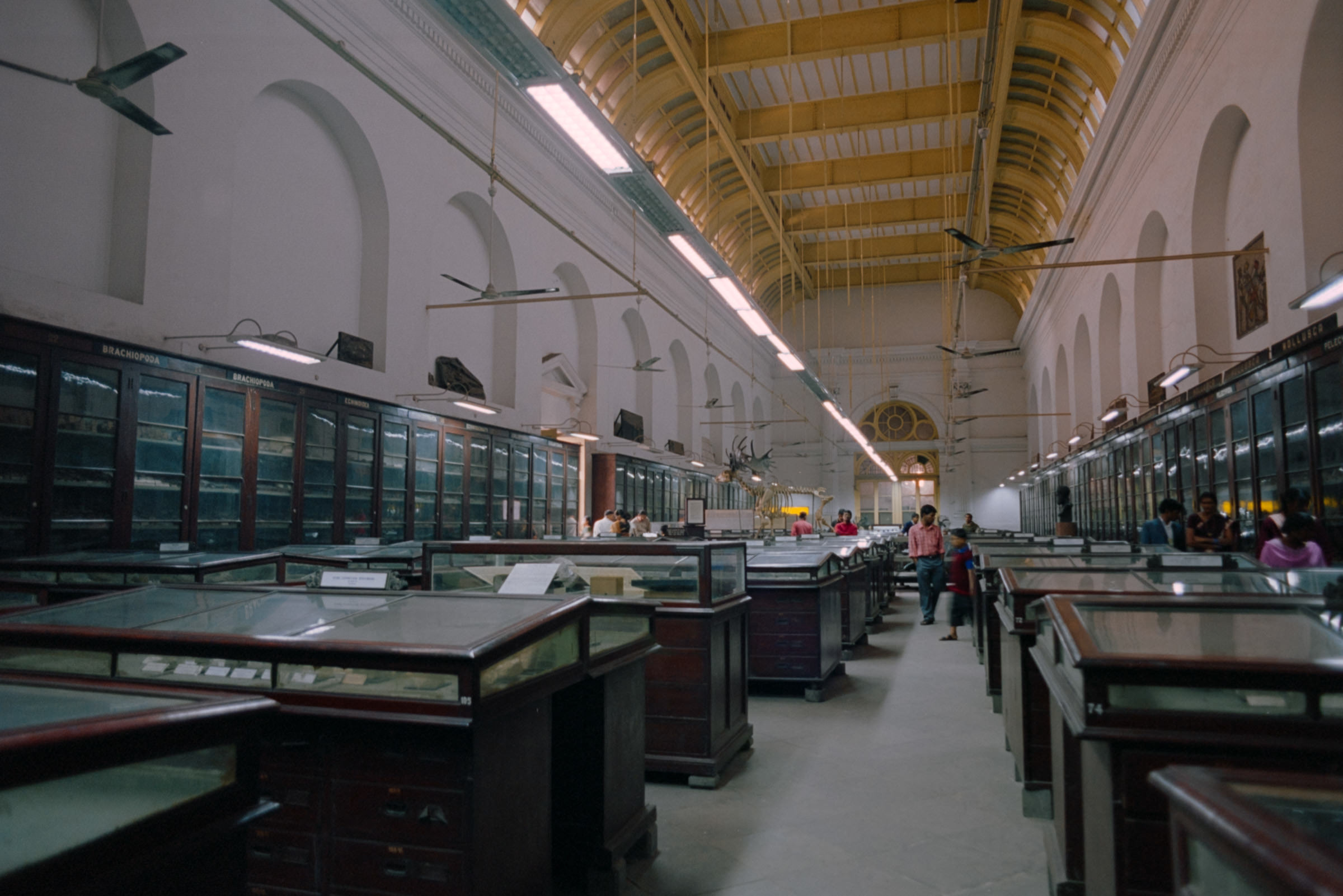 AHP film 2005 01 001 sc240825 img34 NLP